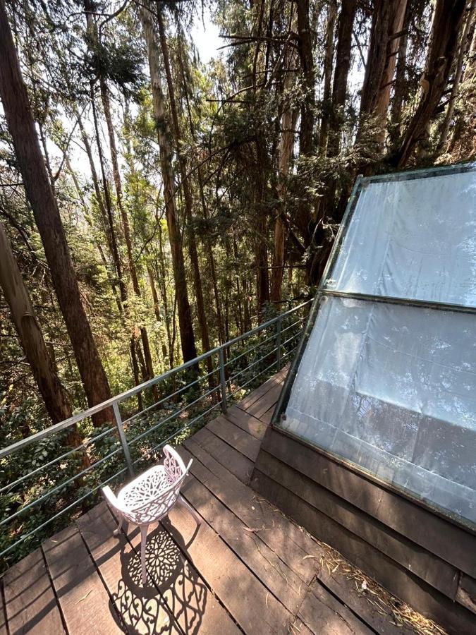 Bob'S Woodside Bungalow Hotel Ooty Ngoại thất bức ảnh
